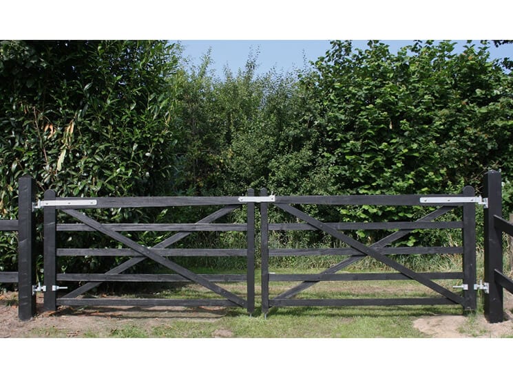 Vegetatie Schaar ondergeschikt Engelse poort, geimpregneerd, zwart geschilderd